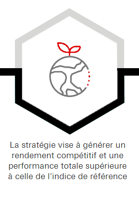 La stratégie vise à générer un rendement compétitif et une performance totale supérieure à celle de l'indice de référence