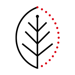 Our natural capital strategies