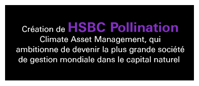 Création de HSBC Pollination Climate Asset Management