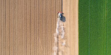 Supply Chain Sustainability