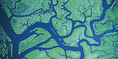 Climate Risk Mitigation