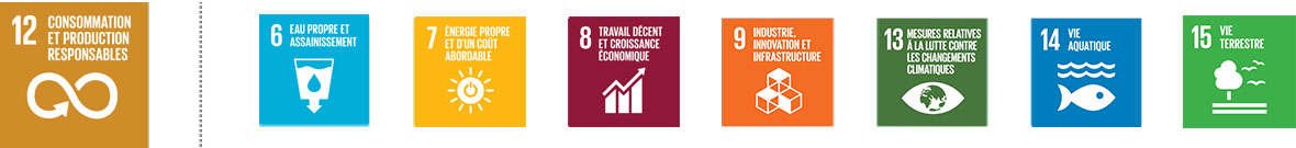 Circular Economy helps resolve the world’s most pressing challenges