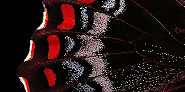 Politique relative à l’énergie