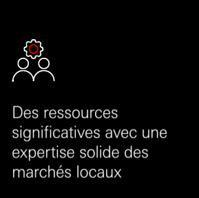 Significant resources with deep on the ground expertis